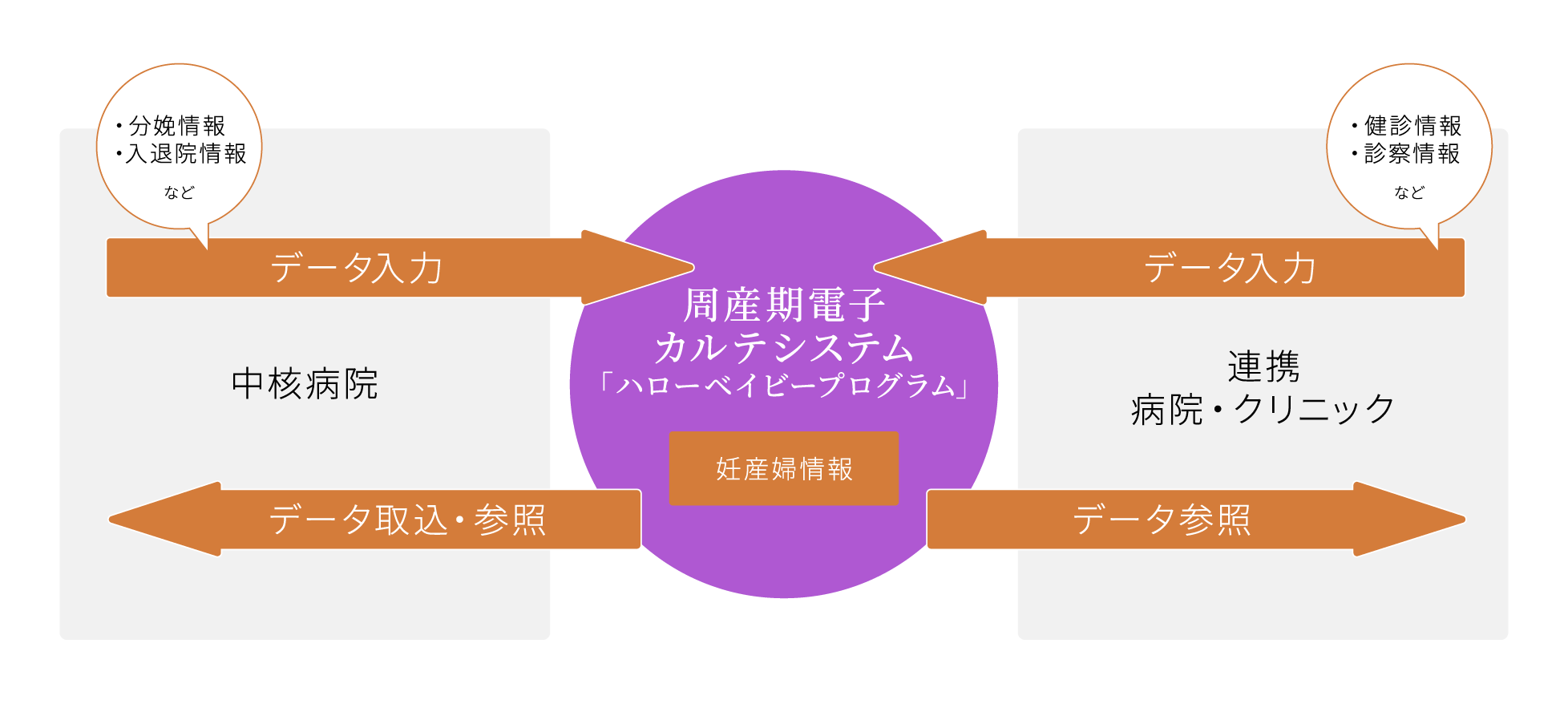 周産期電子カルテシシステム「ハローベイビープログラム」