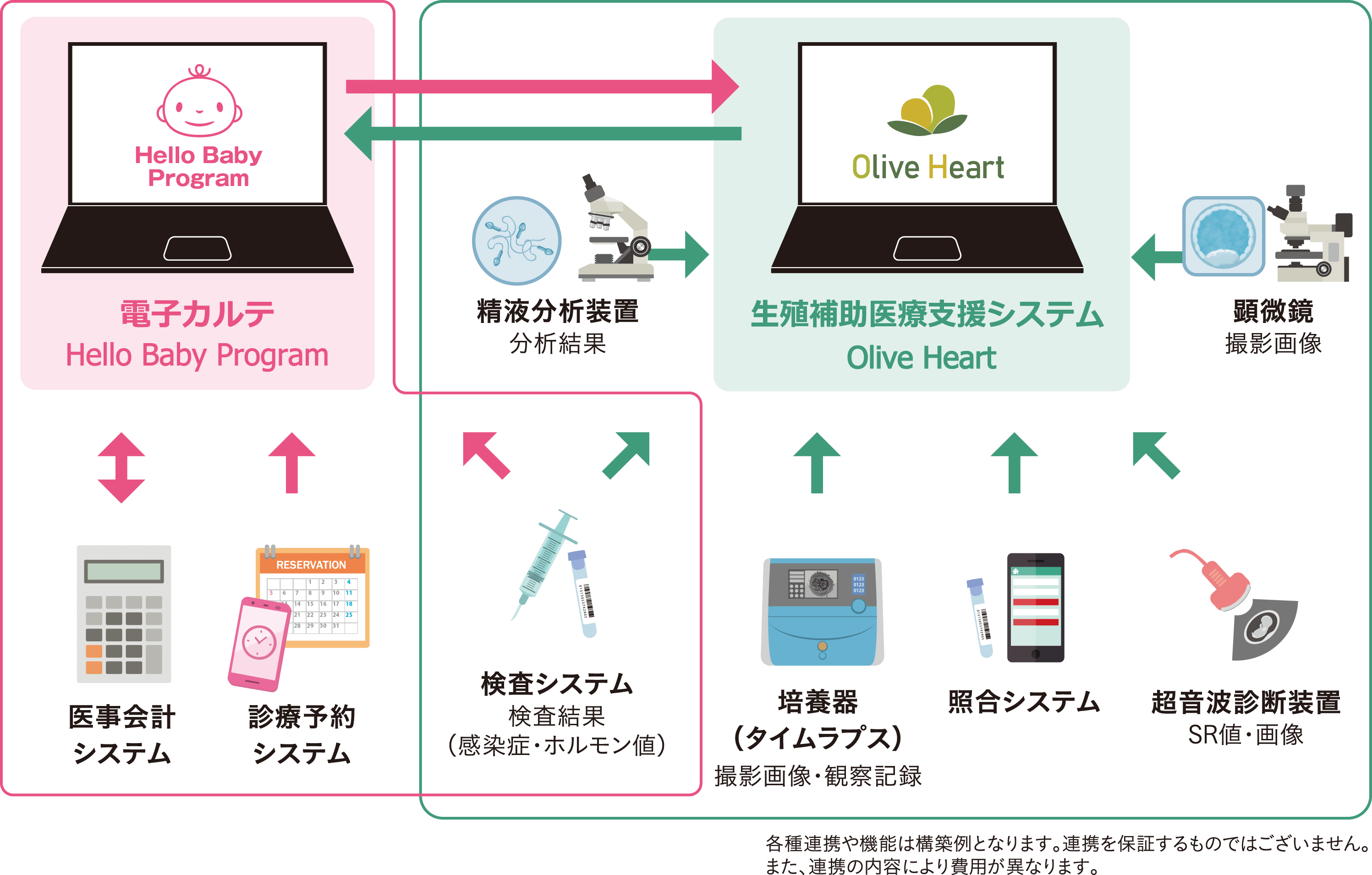 生殖補助医療支援システム Olive Heart 他システムとの連携