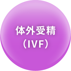 体外受精（IVF）