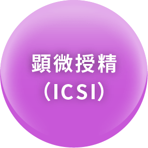 顕微受精（ICSI）